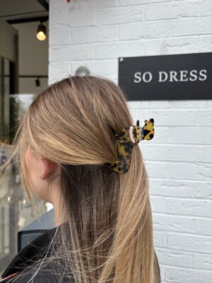 Pince cheveux teckel