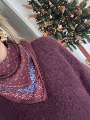 Petit foulard bordeaux et bleu